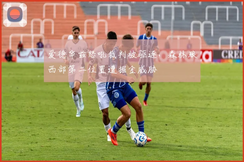 爱德华兹怒吼裁判被驱逐，森林狼西部第二位置遭掘金威胁